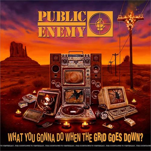 Public Enemy What You Gonna Do When The Grid… (LP)