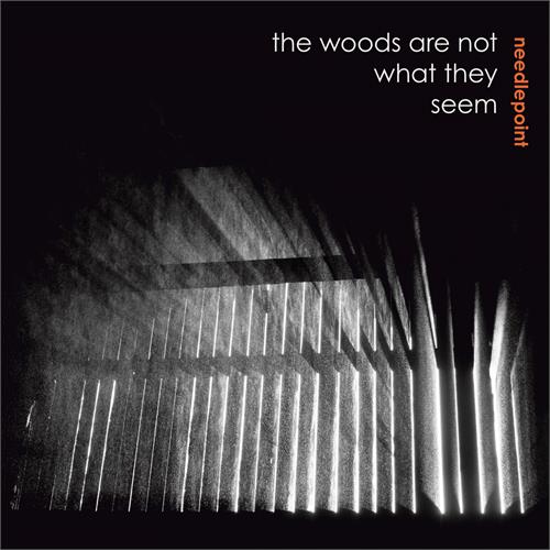 Needlepoint The Woods are Not What They Seem (CD)
