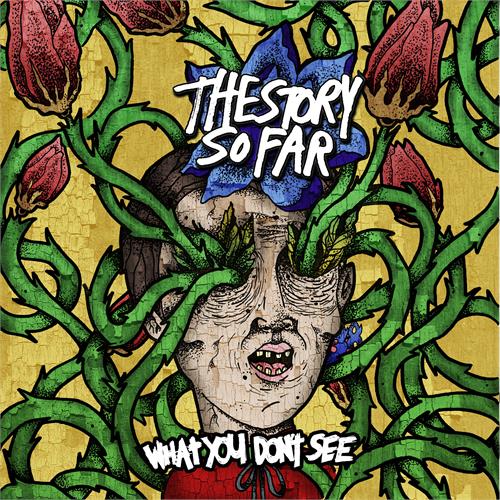 The Story So Far What You Don't See (LP)