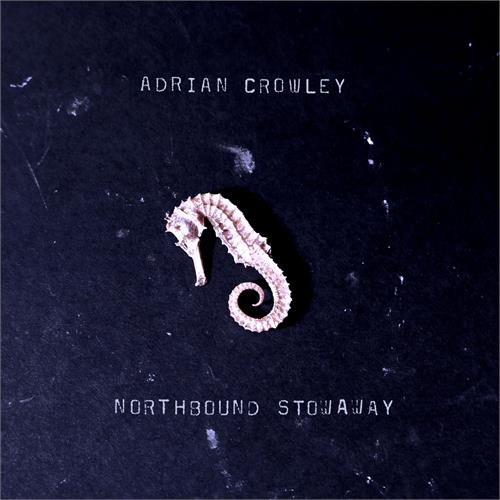 Adrian Crowley Watchful Eye Of The Stars (LP)