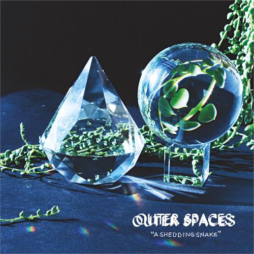Outer Spaces A Shedding Snake (LP)