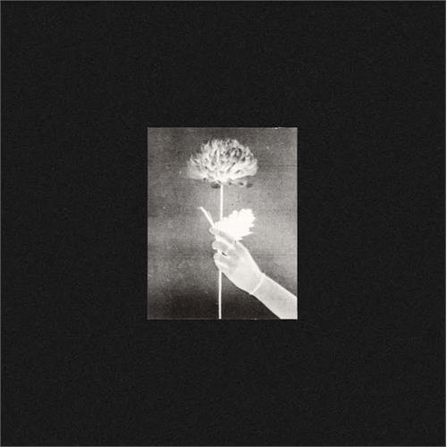White Flowers Day By Day - LTD (LP) 