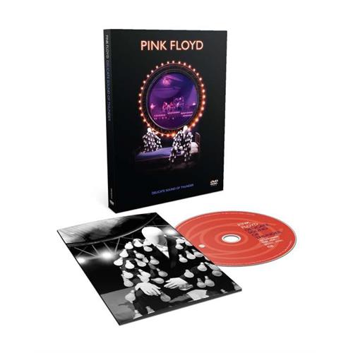 Pink Floyd Delicate Sound Of Thunder (DVD)