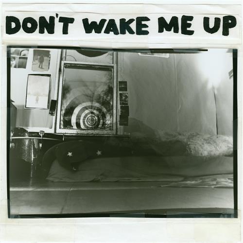 The Microphones Don't Wake Me Up (LP)