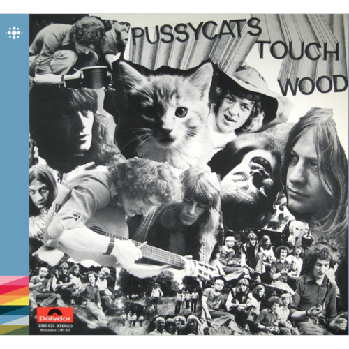 The Pussycats Touch Wood (CD) 