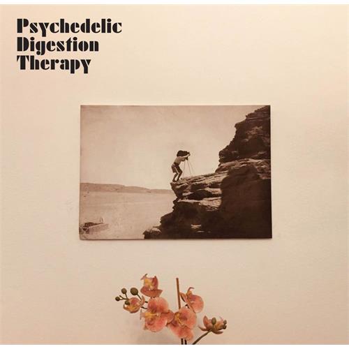 Psychedelic Digestion Therapy Psychedelic Digestion Therapy (LP)