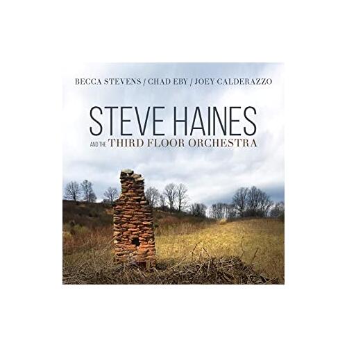 Steve Haines & The Third Floor Orchestra Steve Haines & The Third Floor… (CD)