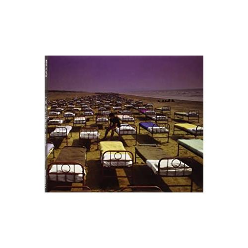 Pink Floyd A Momentary Lapse Of Reason (CD)
