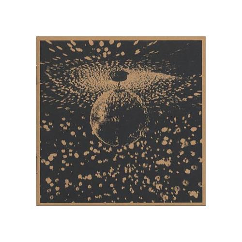 Neil Young Mirror Ball (CD)
