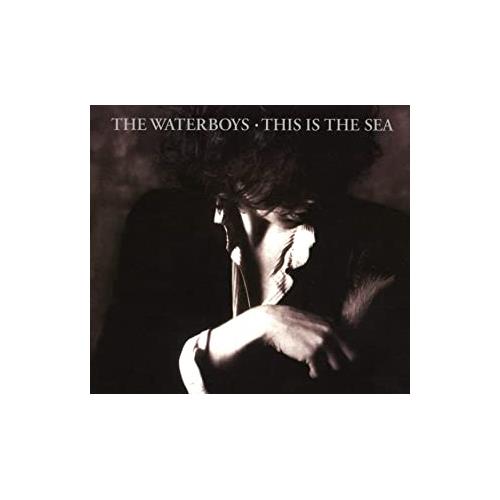 The Waterboys This Is The Sea (2CD)