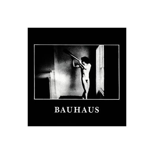 Bauhaus In the flat field (CD)