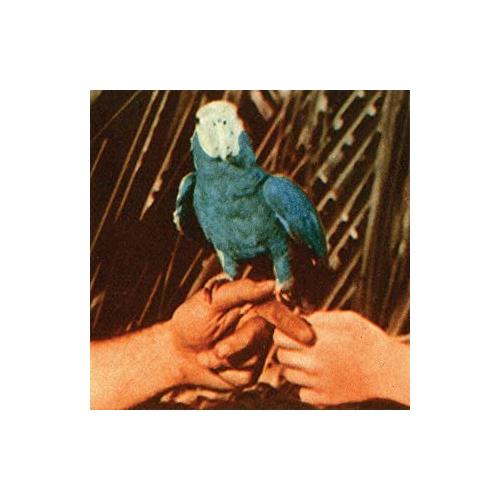 Andrew Bird Are You Serious (CD)