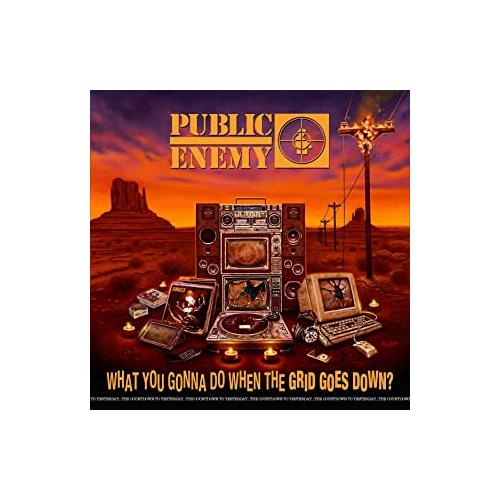 Public Enemy What You Gonna Do When The Grid… (CD)
