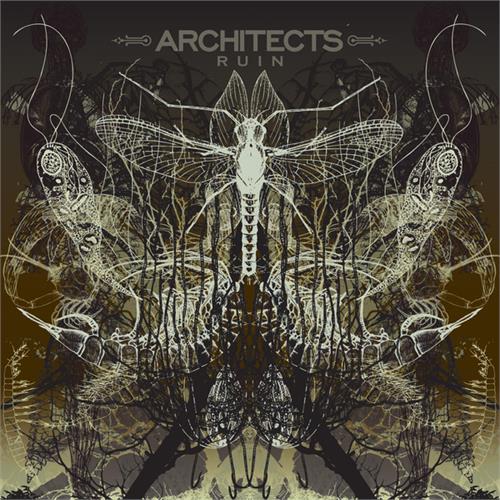 Architects Ruin (CD)