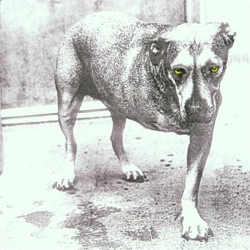 Alice In Chains Alice In Chains (CD)