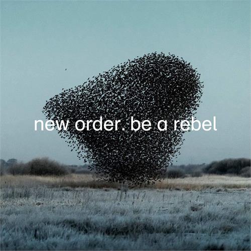 New Order Be A Rebel (12")